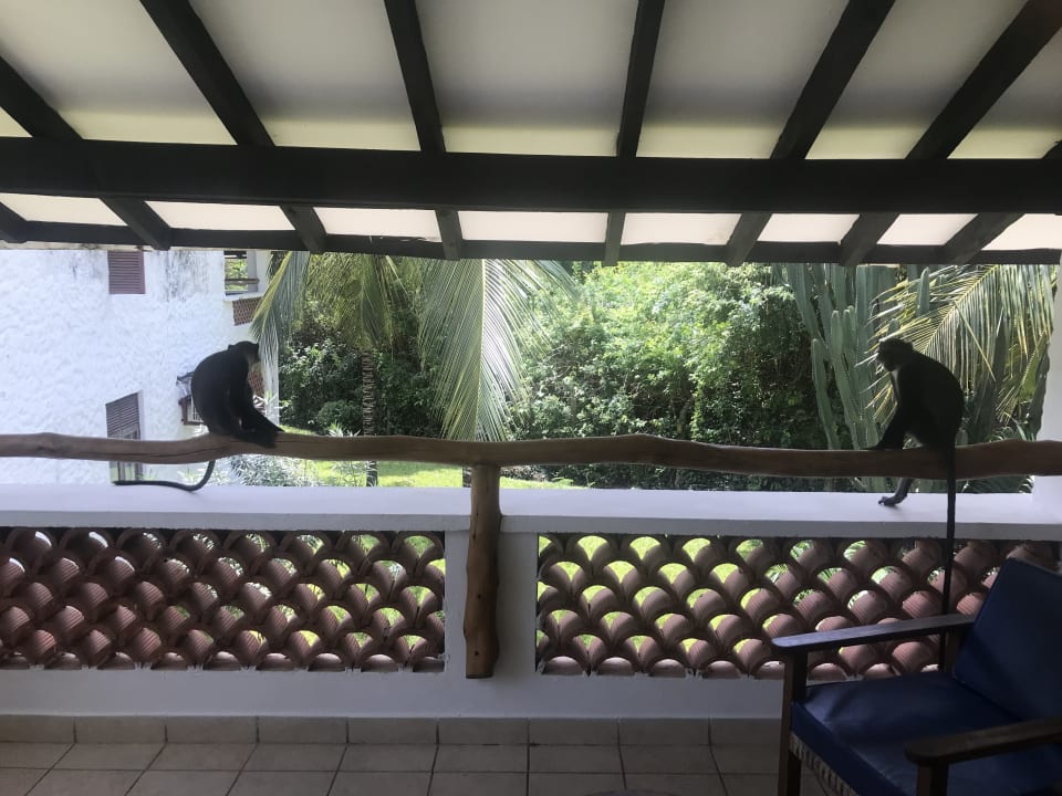 Ausblick Hotel Pinewood Beach Resort & Spa