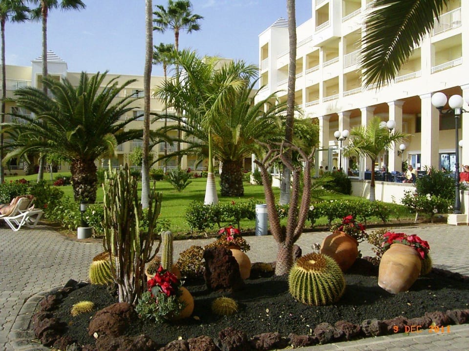 Immer wieder schöne Arrangements Hotel Riu Gran Canaria