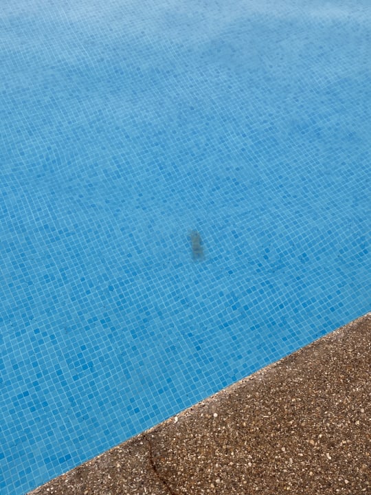 Pool Hotel Riu Baobab - All Inclusive