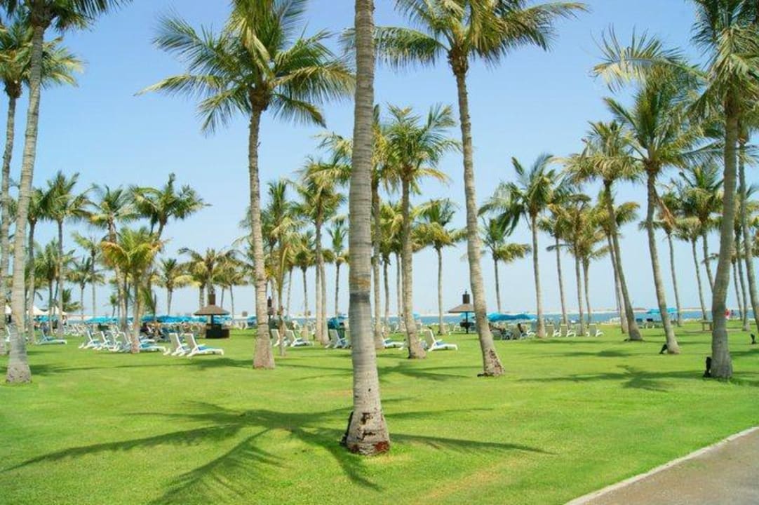 Gartenanlage JA Beach Hotel