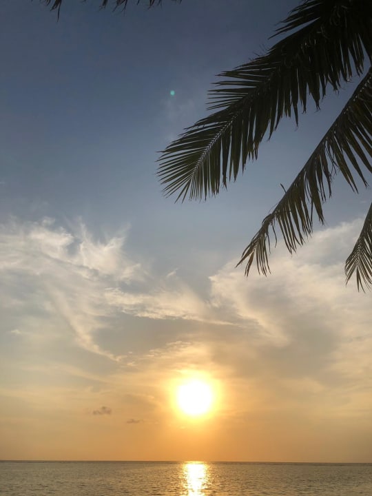 Ausblick Summer Island Maldives