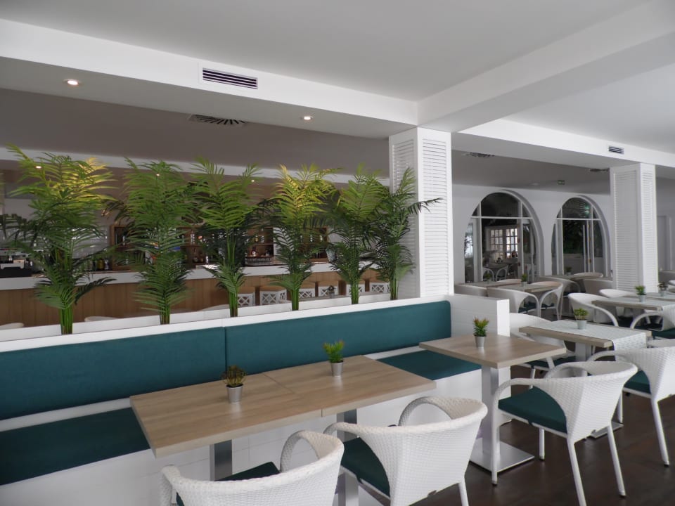 Gastro Canary Garden Club