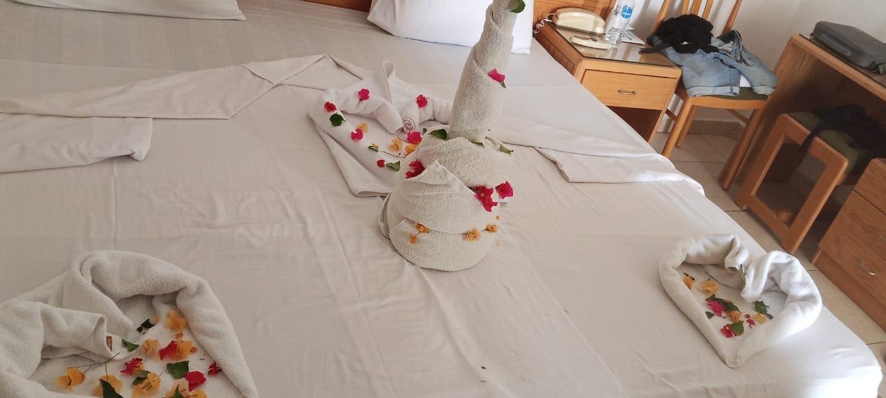 Zimmer Menaville Safaga