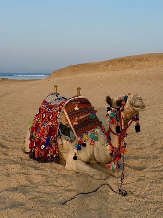 Strand Lazuli Hotel Marsa Alam
