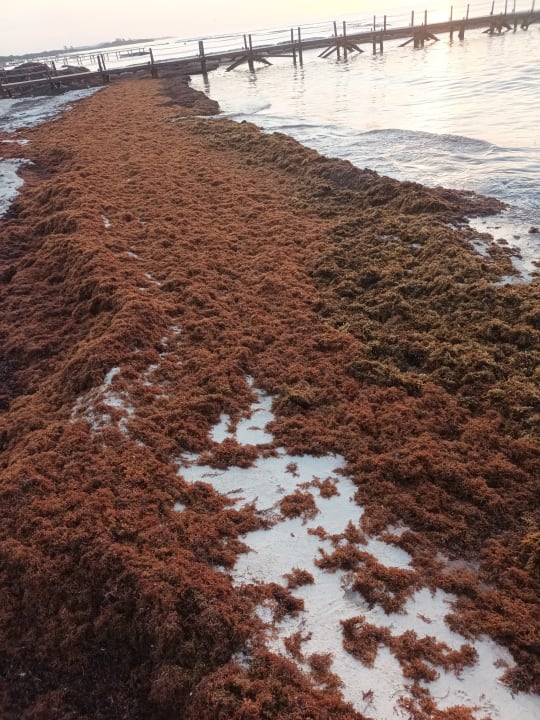 Strand BlueBay Grand Esmeralda