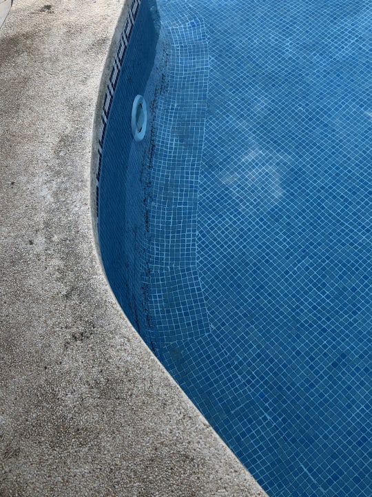 Pool Hotel Condesa