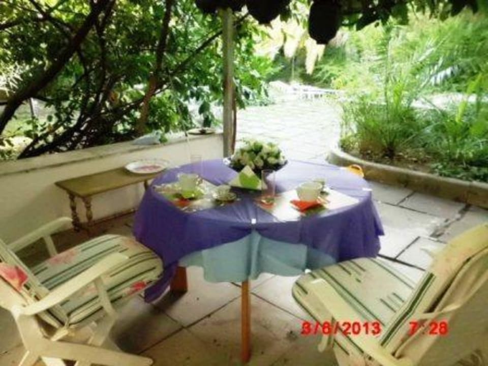 Colazione servita sotto Pergola naturale B&B Il Giardino di Villa Anna