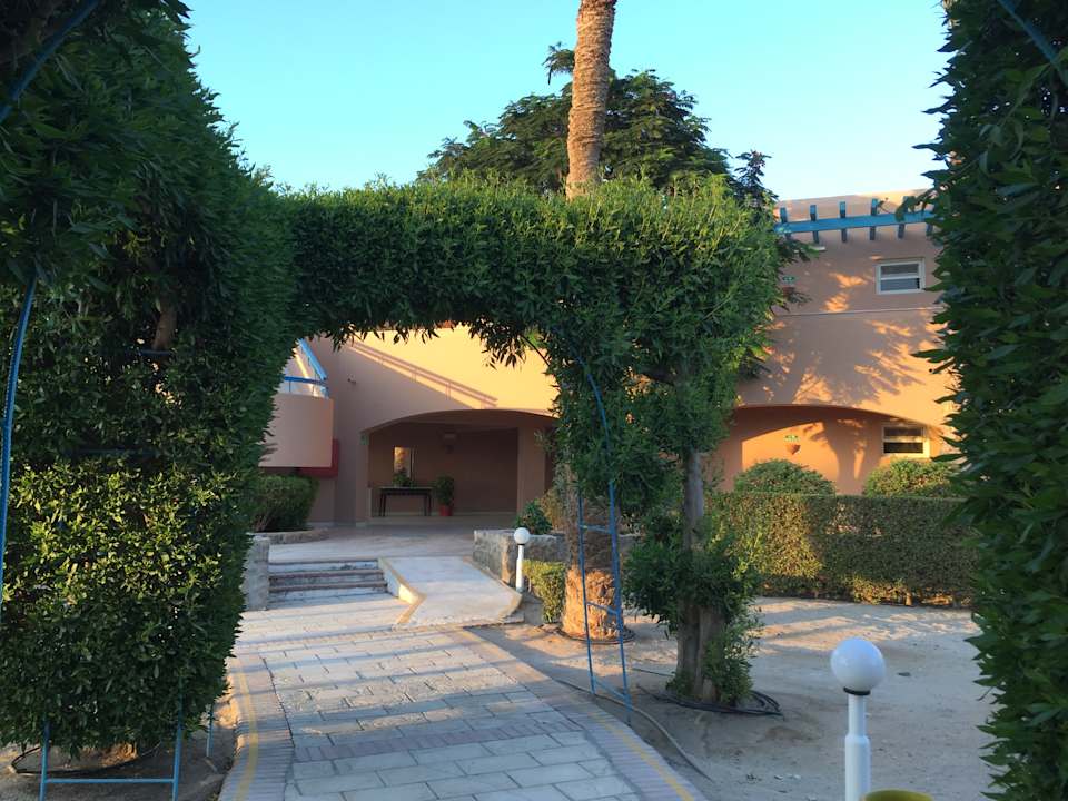 Gartenanlage Club Paradisio El Gouna, Red Sea