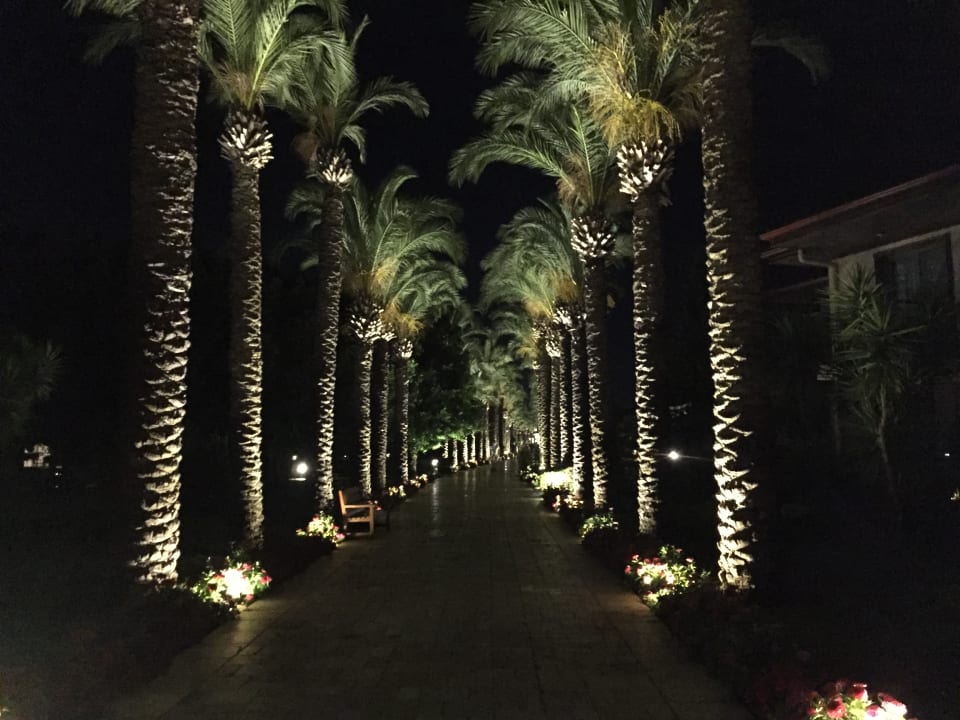 Sonstiges TUI BLUE Palm Garden