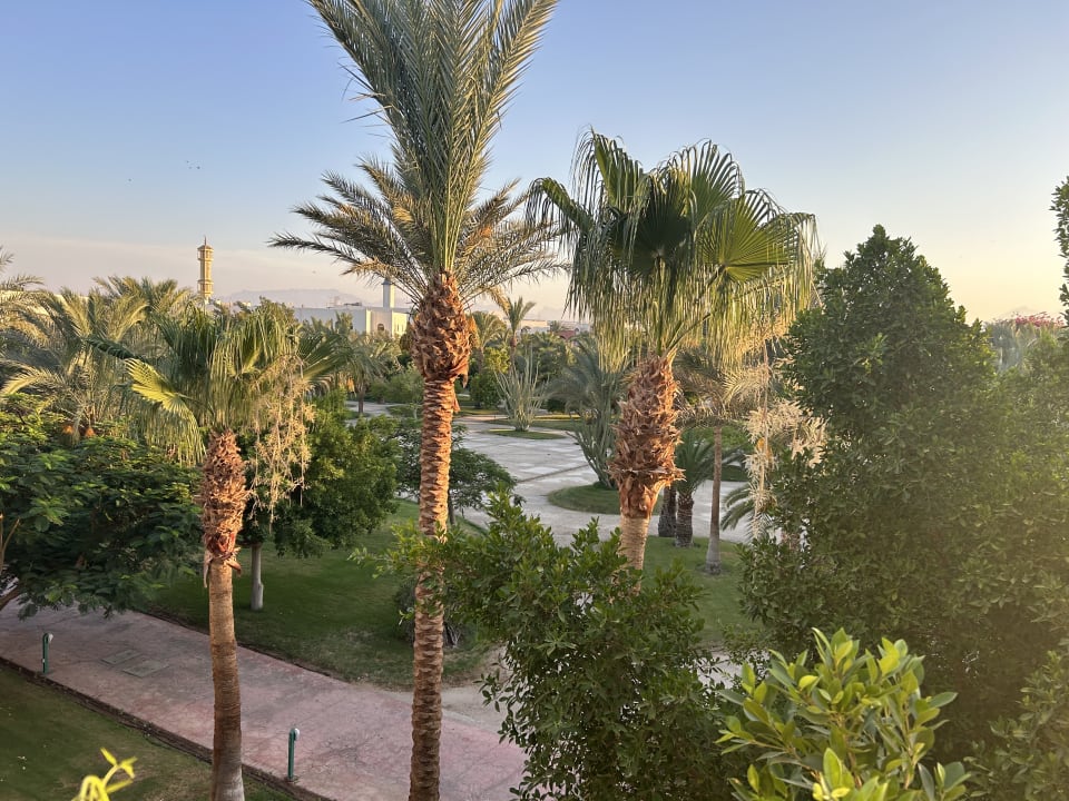 Gartenanlage Desert Rose