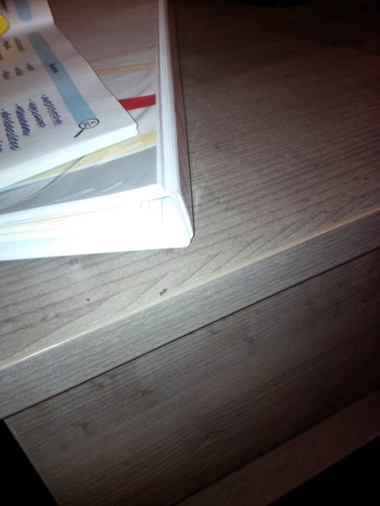 Ants on the furniture Odessos Park Hotel