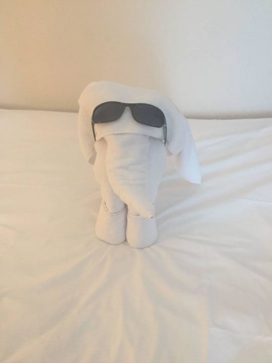 Von den Putzfrauen Hotel Botanik Platinum