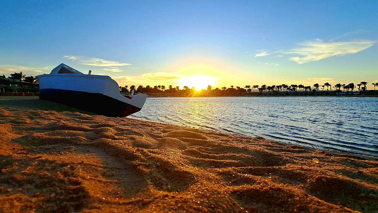 Ausblick Desert Rose