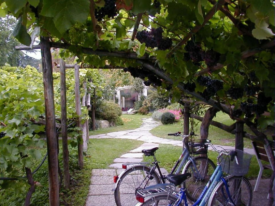 Plantitscherhof - Unter dne Reben Hotel Ansitz Plantiz