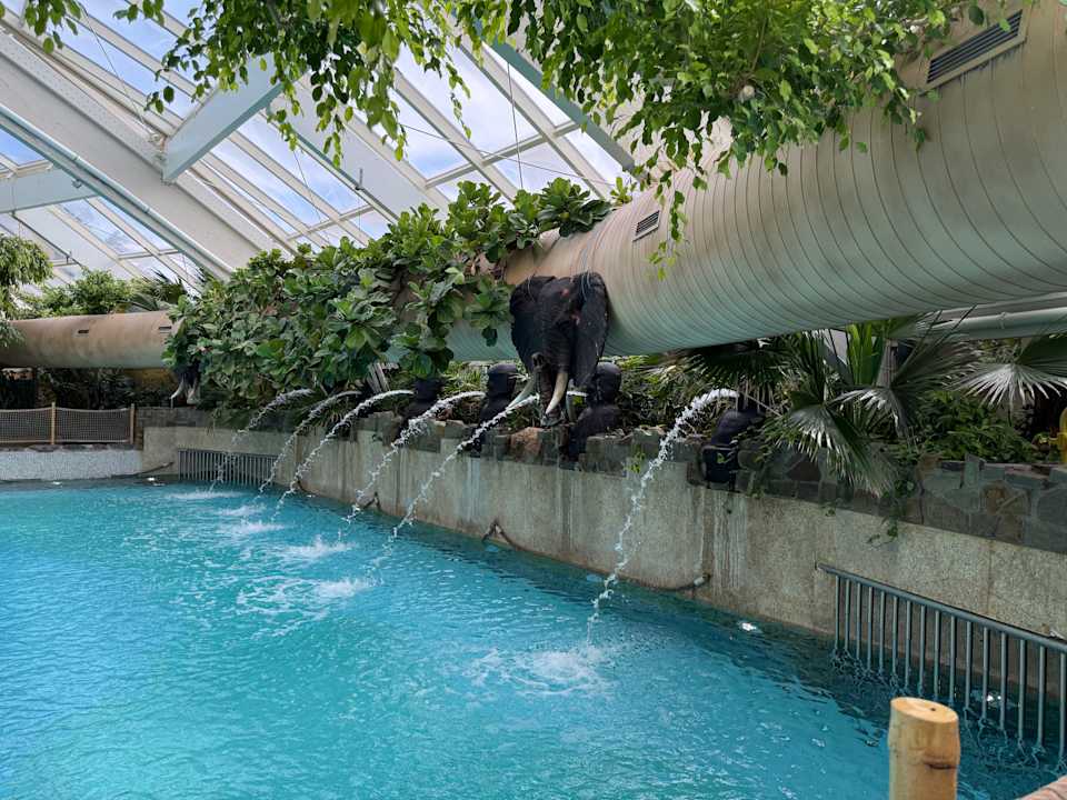 Pool Center Parcs De Kempervennen