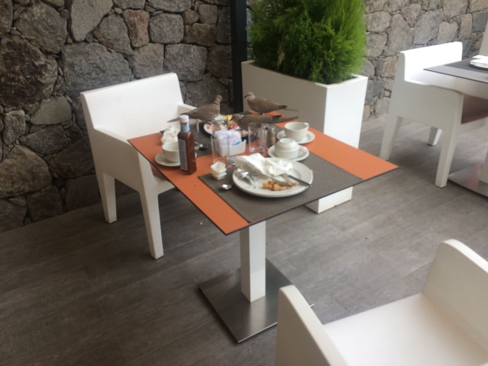 Gastro Gran Canaria Princess