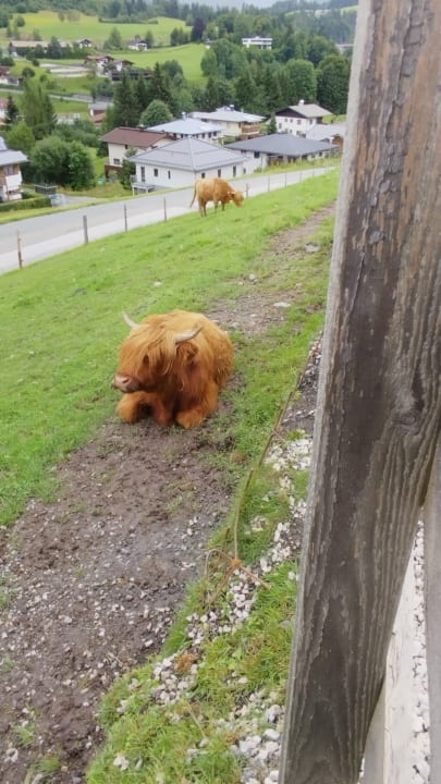 Gartenanlage Hotel Chalets Grosslehen