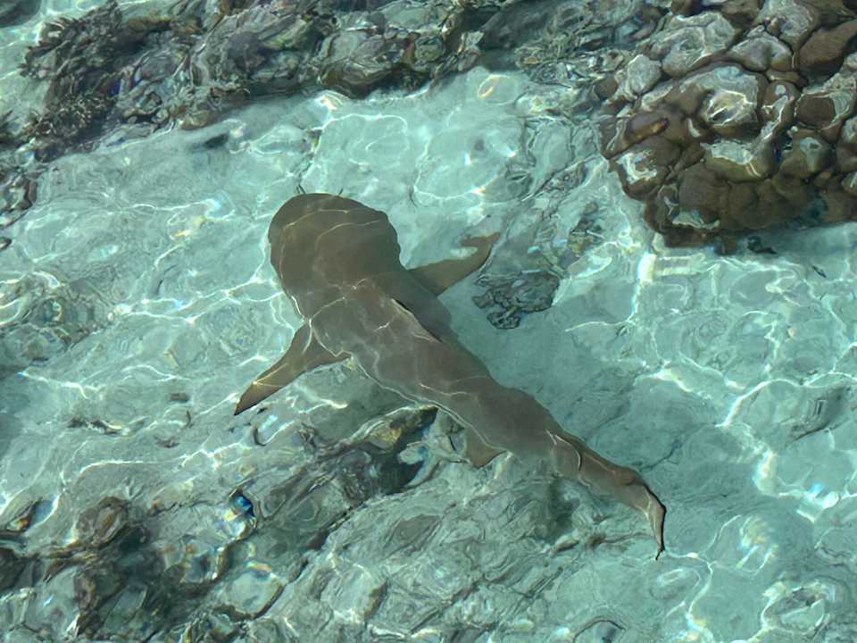 Strand Kuramathi Maldives