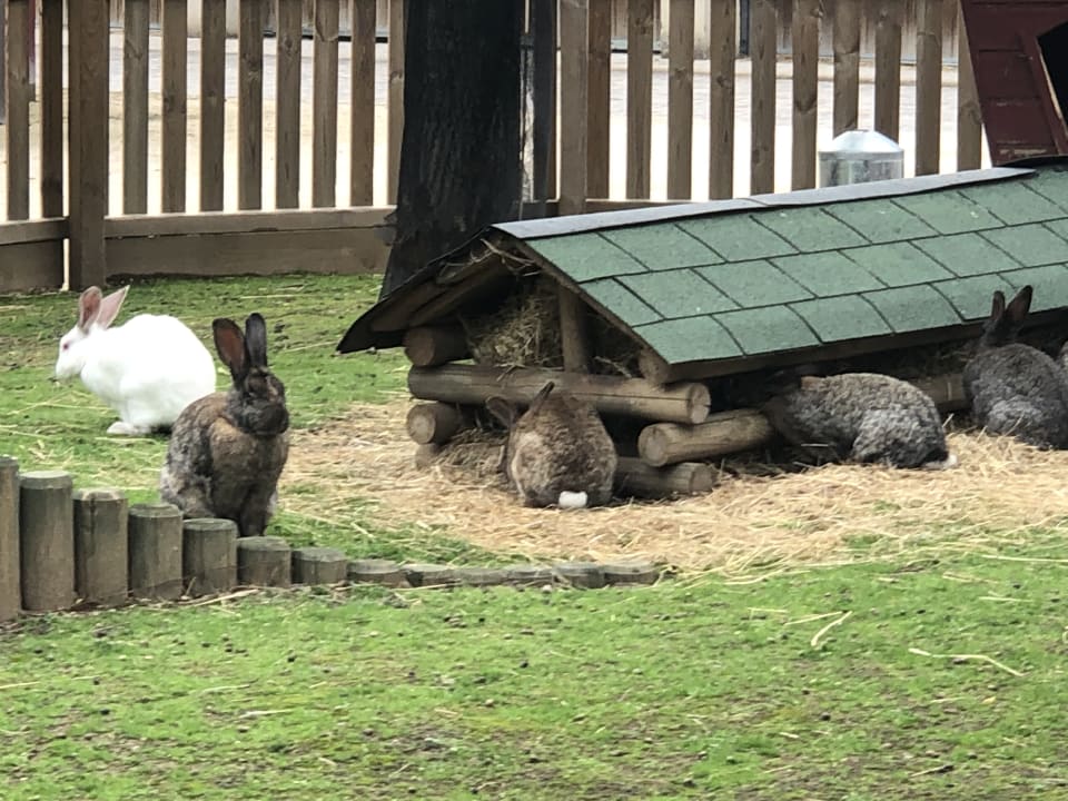 Sport & Freizeit Villages Nature Paris