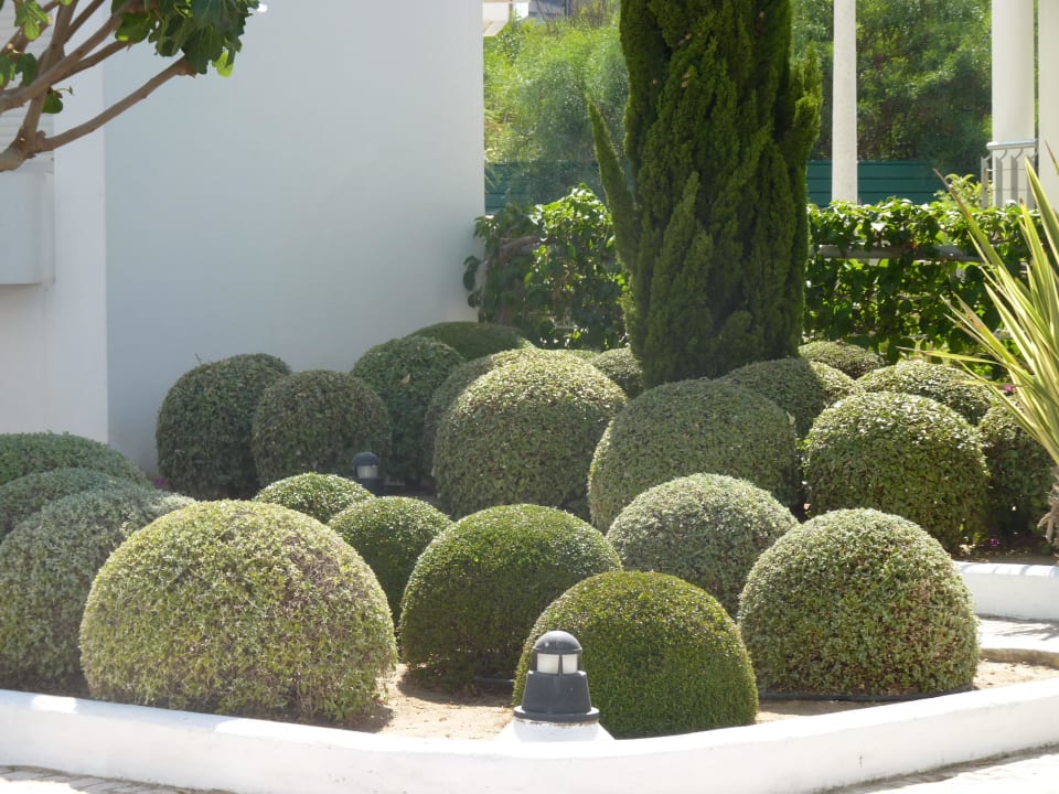 Hotelowa zieleń Golden Club Cabanas