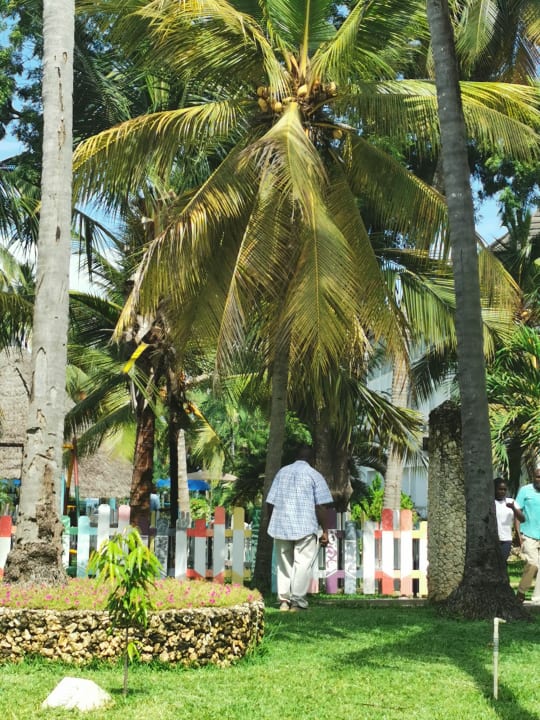 Gartenanlage Hotel Traveller's Club