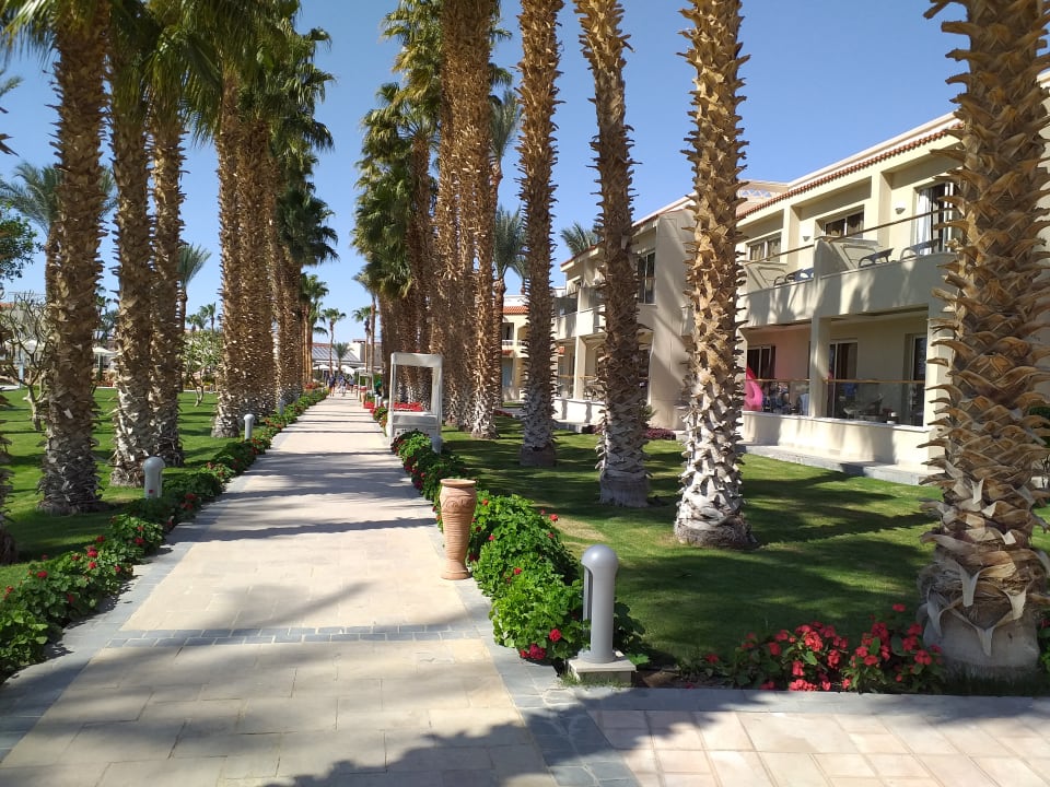 Gartenanlage Beach Albatros Resort
