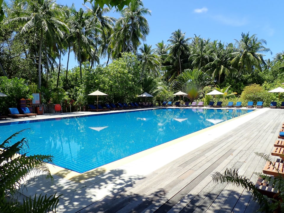 Pool Vilamendhoo Island Resort & Spa