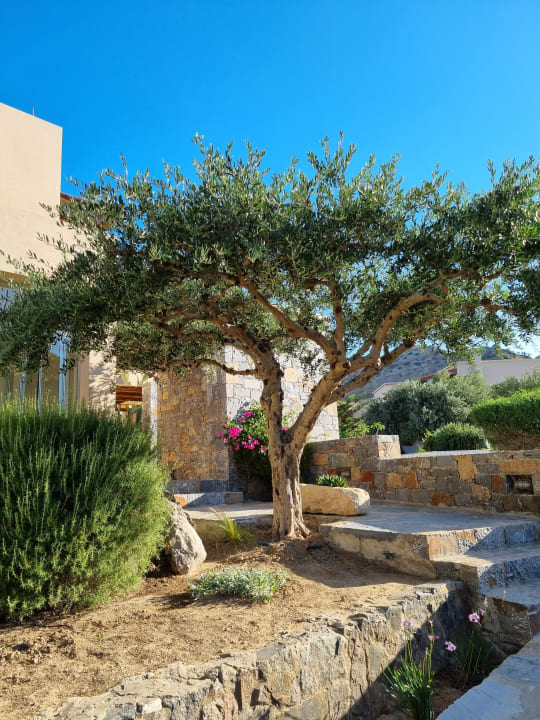 Gartenanlage Paralos Irini Mare