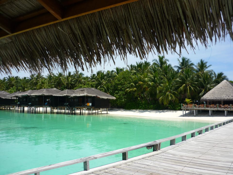 15.03.2012 Kuramathi Maldives