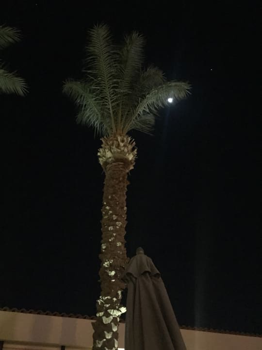 Gartenanlage Pickalbatros Dana Beach Resort - Hurghada