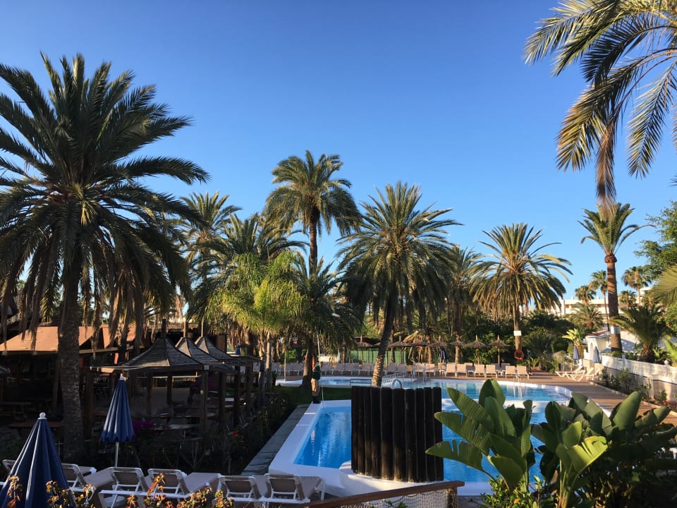 Pool HL Miraflor Suites Hotel