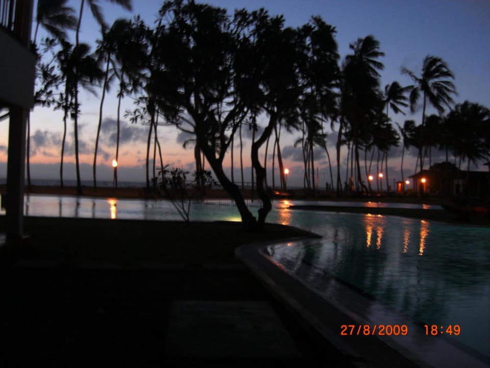 Ausblick von der Terrasse Club Hotel Dolphin