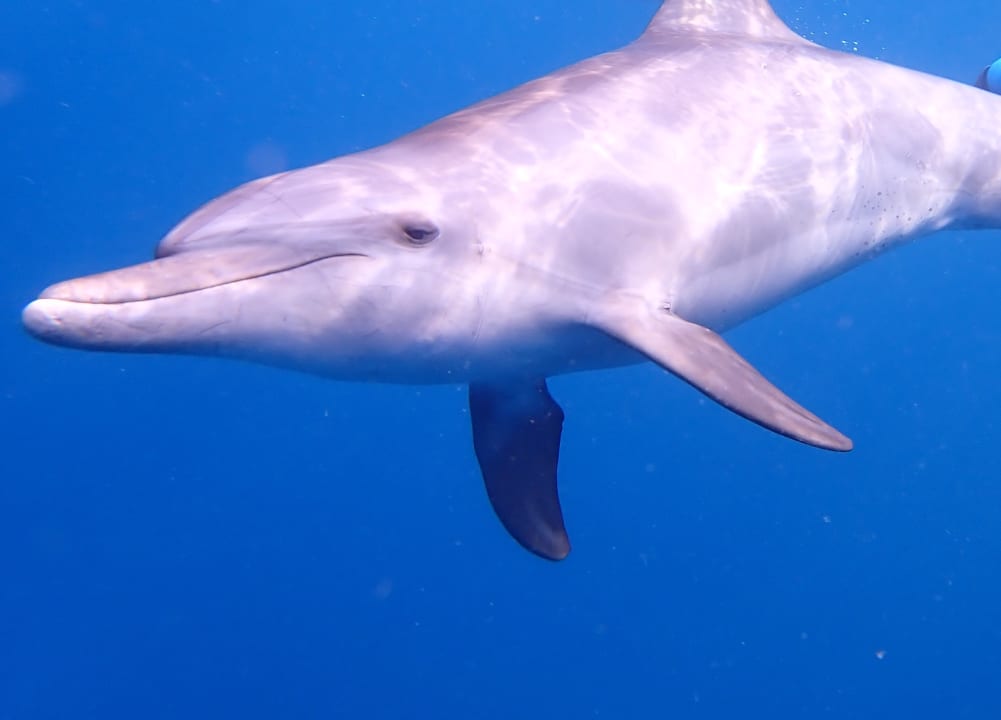 Sport & Freizeit Utopia Beach Club