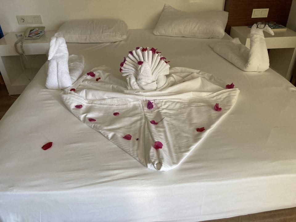 Zimmer Seaden Sea World Resort & Spa