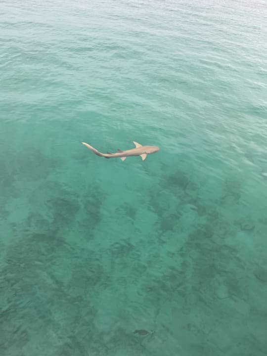 Strand Kuredu Island Resort & Spa