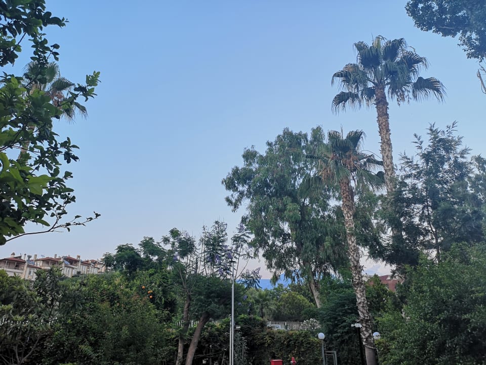 Garten Labranda Alantur Resort