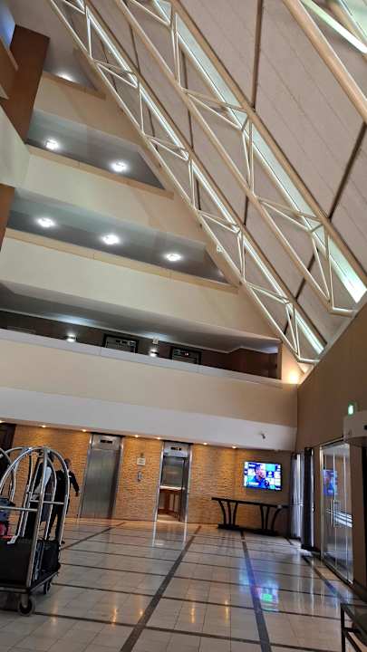 Lobby Hotel Southern Sun OR Tambo International Airport