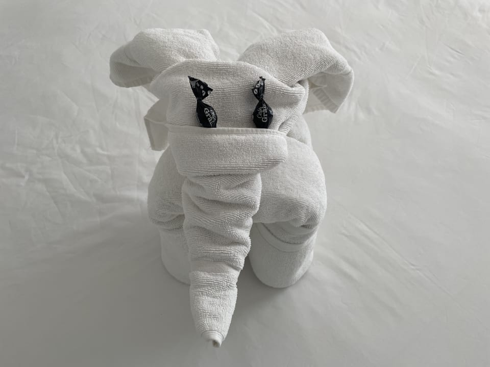 Zimmer Iberostar Selection Santa Eulalia Ibiza