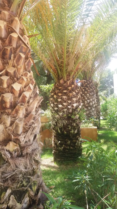 Gartenanlage Hotel Na Forana