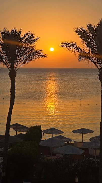 Außenansicht Makadi Spa - Adults only