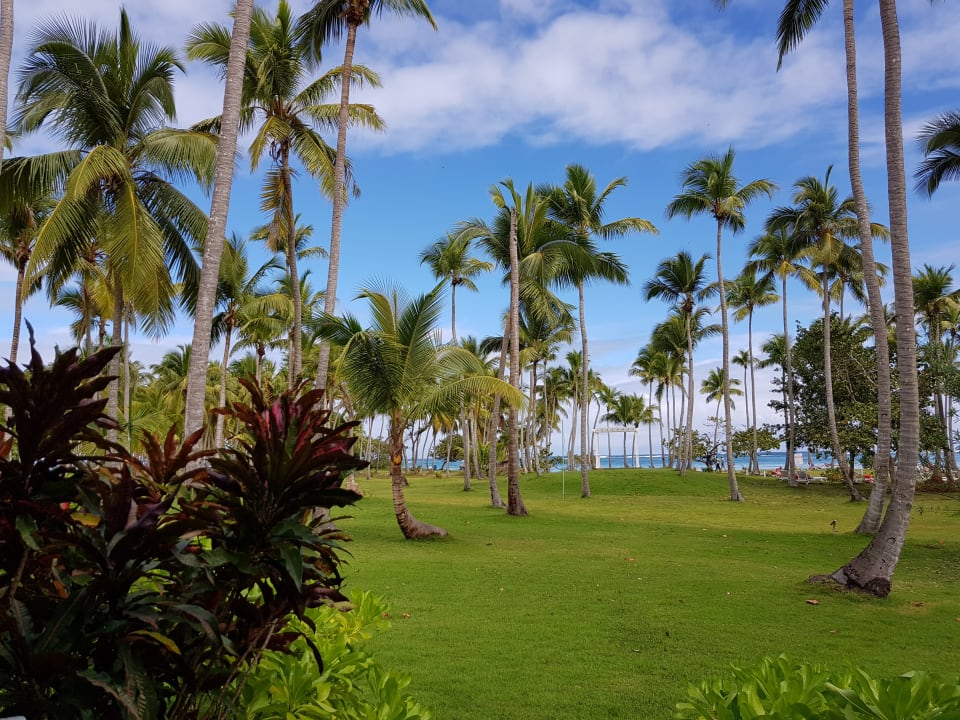 Gartenanlage Wyndham Alltra Samana