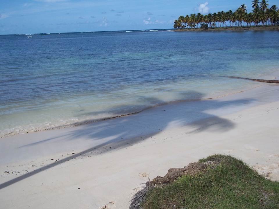 Wunderschöner Hotelstrand Wyndham Alltra Samana