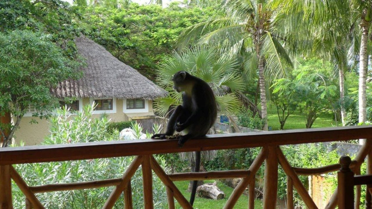 Besuch   :o) Neptune Palm Beach Boutique Resort & Spa