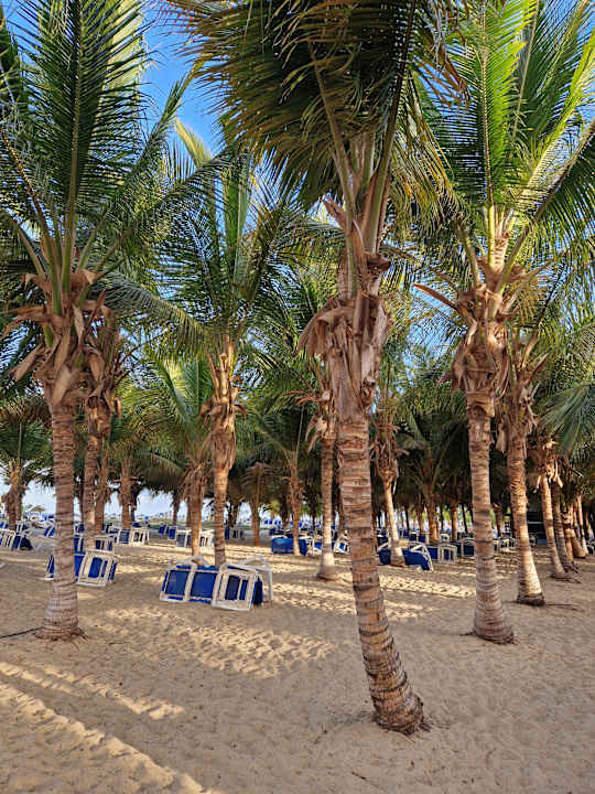 Strand Hotel Riu Cabo Verde