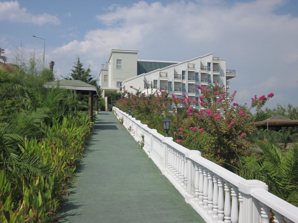 Weg zum Strand Royal Atlantis Spa & Resort