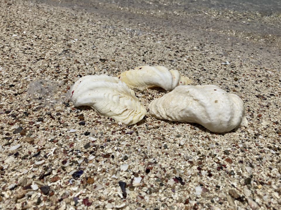Strand Lazuli Hotel Marsa Alam