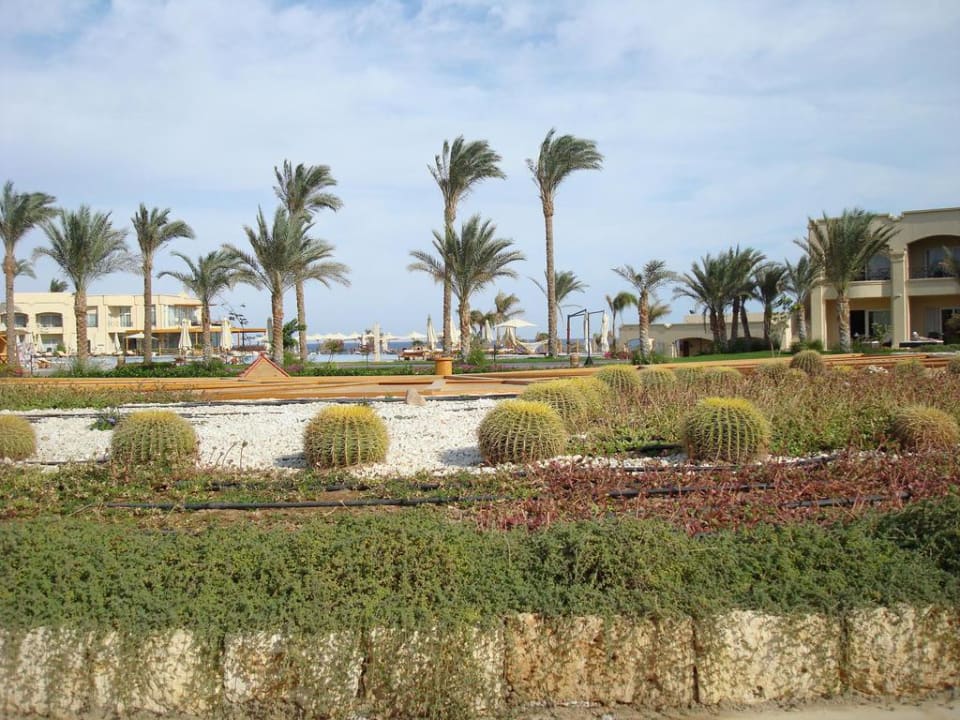 \'Sitze' über dem Miniclub Cleopatra Luxury Resort - Sharm El Sheikh