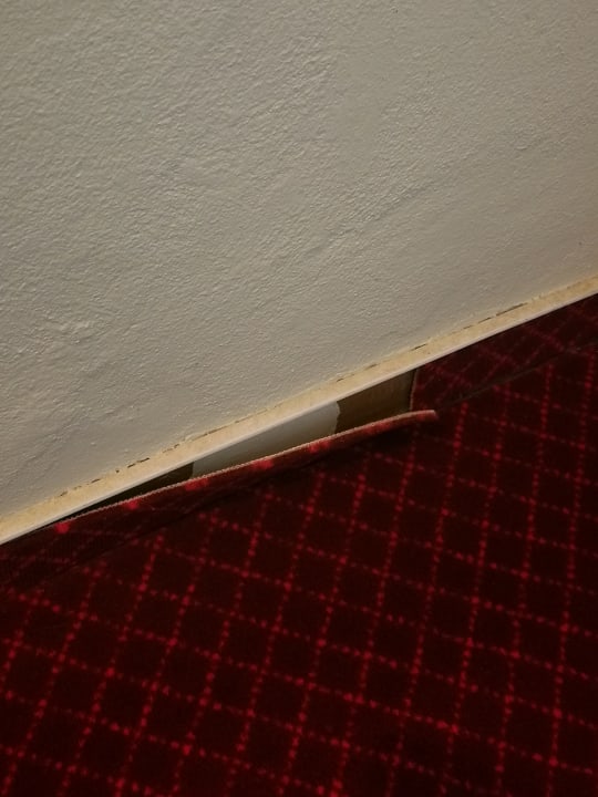 Zimmer Clarion Grandhotel Zlaty Lev