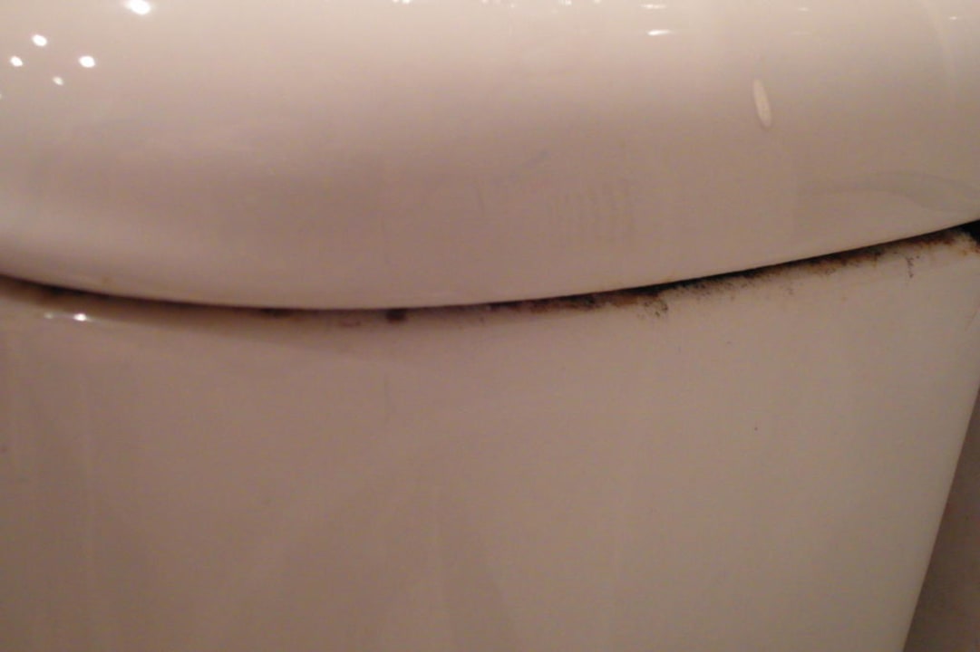 Toilettenspühldeckel. Igitt Iberostar Selection Santa Eulalia Ibiza