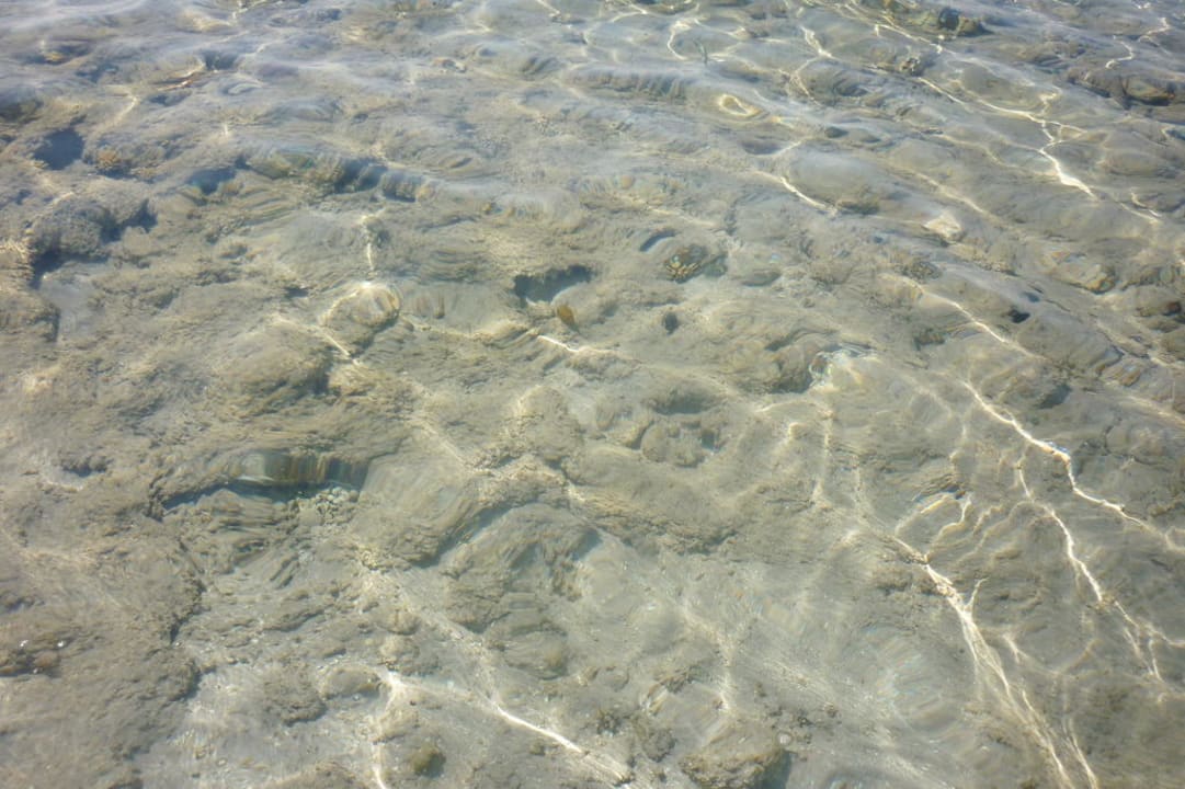 Morze czerwone JAZ Aquamarine Resort